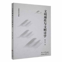 正版新书]文明理性与文明诗学张大为 著9787310063895