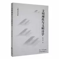 正版新书]文明理性与文明诗学张大为 著9787310063895