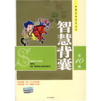 正版新书]智慧阅读 智慧背囊 D10辑(常销)王玉强9787807015147