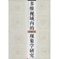 正版新书]多维视域内的现象学研究李金辉9787010129778