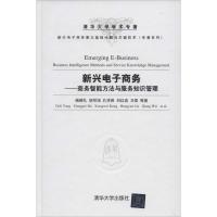 正版新书]新兴电子商务(商务智能方法与服务知识管理)杨德礼97
