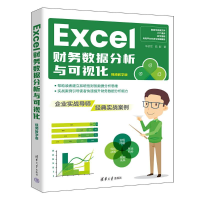 正版新书]Excel财务数据分析与可视化 视频教学版羊依军,陆群978
