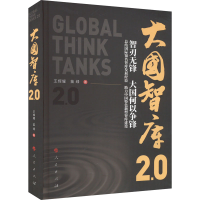 正版新书]大国智库2.0王辉耀,苗绿9787010257419