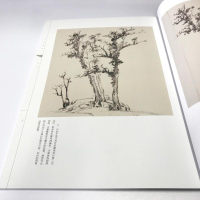 正版新书]倪瓒/人美画谱张雨婷 编,张伟平 绘9787102078724