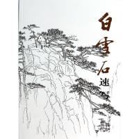 正版新书]白雪石速写人美社9787102064758