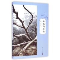 正版新书]神像的启示罗荣9787020105762