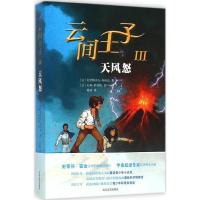 正版新书]云间王子(3)(天风怒)克里斯多夫·加尔法9787020112