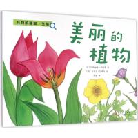 正版新书]万物的秘密.生命?美丽的植物玛格丽特·蒂贝蒂978702011