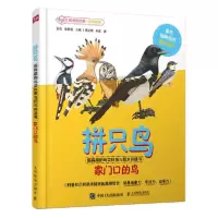 正版新书]拼只鸟(家门口的鸟超有趣的鸟类科普与积木拼搭书)(精)