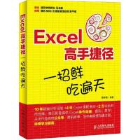 正版新书]Excel高手捷径:一招鲜吃遍天聂春霞9787115385727