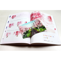 正版新书]水彩梦幻绘 少女心水彩插画入门教程 视频学习版(绘客