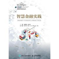 正版新书]智慧金融实践林轶超 武宏伟9787115549884