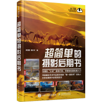 正版新书]超简单的摄影后期书孙迎新,杨小宇9787115541666
