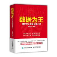 正版新书]数据为王:打开数据治理之门 经济理论、法规 王建伟王