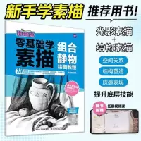 正版新书]零基础学素描 组合静物绘画教程 玩转画笔素描君978711