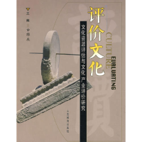 正版新书]评价文化——文化资源评估与文化产业评价研究申维辰97