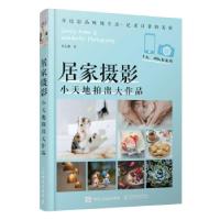 正版新书]居家摄影 小天地拍出大作品(摄影客出品)孙志刚 著97