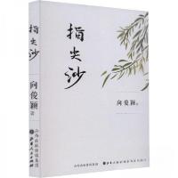 正版新书]指尖沙向俊颖9787203128687