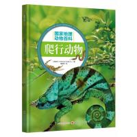 正版新书]爬行动物西班牙Sol90公司9787203107361