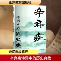 正版新书]辛弃疾诗词中的历史典故赵怀宝,张希乐,张雅歌 编97875