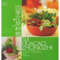 正版新书]四季花草种植钟秀媚9787810366977