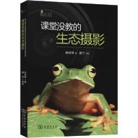 正版新书]课堂没教的生态摄影施信锋9787100177122