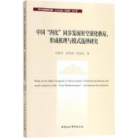 正版新书]中国"四化"同步发展时空演化格局、形成机理与模式选择
