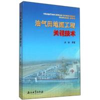 正版新书]油气田地面工程关键技术汤林9787502193867