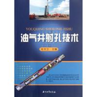 正版新书]油气井射孔技术陆大卫9787502190262