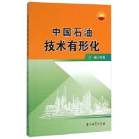 正版新书]中国石油技术有形化刁顺 等 著9787518301546