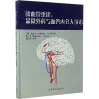 正版新书]脑血管重建:显微外科与血管内介入技术埃里克·努斯鲍