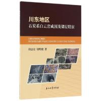 正版新书]川东地区石炭系白云岩成因及储层特征胡忠贵//胡明毅97