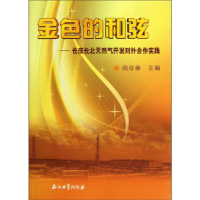 正版新书]金色的和弦-长庆长北天然气开发对外合作实践阎存章978
