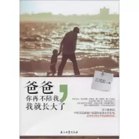 正版新书]爸爸你再不陪我我就长大了王鸿政9787518302895