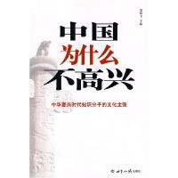 正版新书]中国为什么不高兴贺雄飞9787501233045