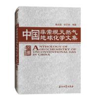 正版新书]中国规天然气地球化学文集戴金星 著9787518341351