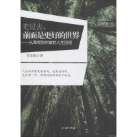 正版新书]走过去,前面是更好的世界贺享雍9787545521702