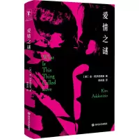 正版新书]爱情之谜(美)金·阿多尼兹奥 著 梁余晶 译978754115518