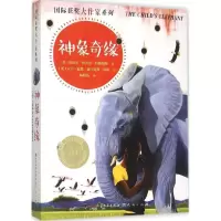 正版新书]靠前获奖大作家系列?神象奇缘蕾切尔·坎贝尔-约翰斯顿9