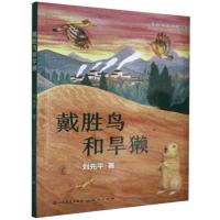 正版新书]戴胜鸟和旱獭刘先平9787501616756