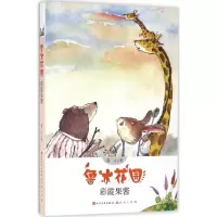 正版新书]彩霞果酱鲁冰9787501611058