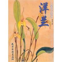 正版新书]洋兰工笔花卉画法林玉琦 绘9787807387121