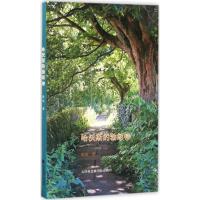 正版新书]哈沃斯的勃朗特张培9787556303519