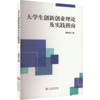 正版新书]大学生创新创业理论及实践指南董晓彤 著9787514242348