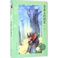 正版新书]耳朵上的绿星冰波9787501611218