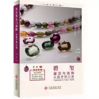正版新书]碧玺鉴定与选购从新手到行家胡葳 著9787514212020