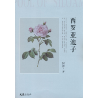正版新书]西罗亚池子阿淮著9787549637362