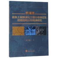 正版新书]建筑地基与基础工程汪为巍9787307207035