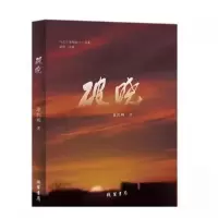 正版新书]破晓康凯鹏9787512063266