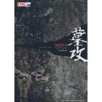 正版新书]墓攻怒涛雪9787802254503